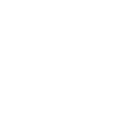 Cleaning icon