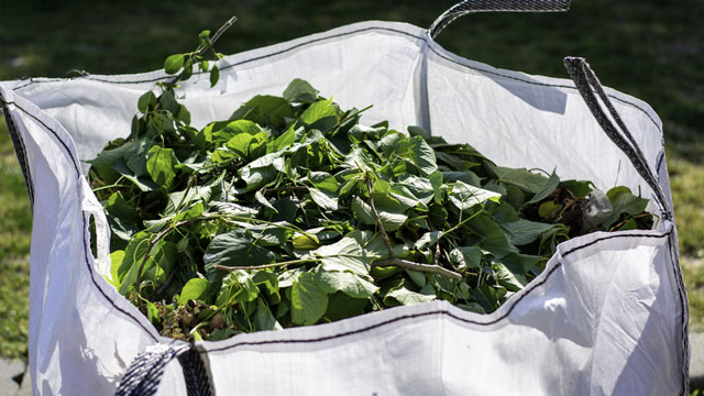 gardening-and-clearance Gardening Services Olia Cleaning Services